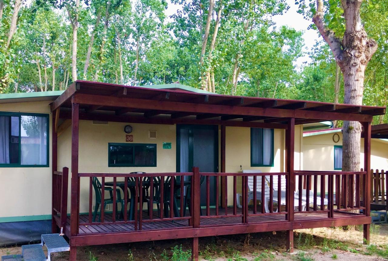 Camping Village Punta Navaccia تورو سول تراسيمينو المظهر الخارجي الصورة